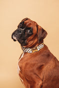 Load image into the gallery viewer, Smiley Collar - waterproof fabric