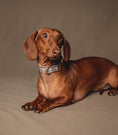 Load image into the gallery viewer, London Collar - waterproof fabric