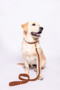 Load image into the gallery viewer, Teddy Camel Leash - soft fabric