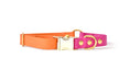 Charger l'image dans la visionneuse de la galerie, Collier Summer - Biothane
