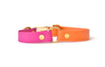 Charger l'image dans la visionneuse de la galerie, Collier Summer - Biothane