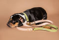 Charger l'image dans la visionneuse de la galerie, Laisse fixe Rio&Co x Pompon&Pets