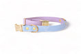 Charger l'image dans la visionneuse de la galerie, Collier Rio&Co x Pompon&Pets Rainbow