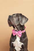 Load image into the gallery viewer, Amore Bow Tie - waterproof fabric