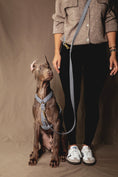 Load image into the gallery viewer, Houndstooth Multi-position Leash - waterproof fabric
