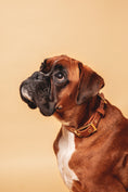 Load image into the gallery viewer, Camel Collar - Biothane