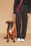 Load image into the gallery viewer, Burgundy Leash - Biothane