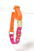 Charger l'image dans la visionneuse de la galerie, Collier Summer - Biothane