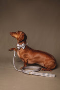 Load image into the gallery viewer, London Leash - waterproof fabric