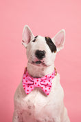 Load image into the gallery viewer, Amore Bow Tie - waterproof fabric