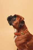 Charger l'image dans la visionneuse de la galerie, Collier Teddy Camel - tissu douceur