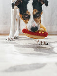 Load image into the gallery viewer, Hot Dog