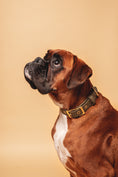Load image into the gallery viewer, Olive Collar - Biothane