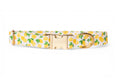 Load image into the gallery viewer, Lemon Collar - waterproof fabric