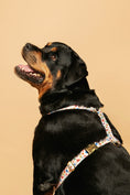 Load image into the gallery viewer, Dolce Vita Harness - waterproof fabric