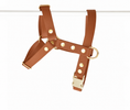 Load image into the gallery viewer, Camel Harness - Biothane