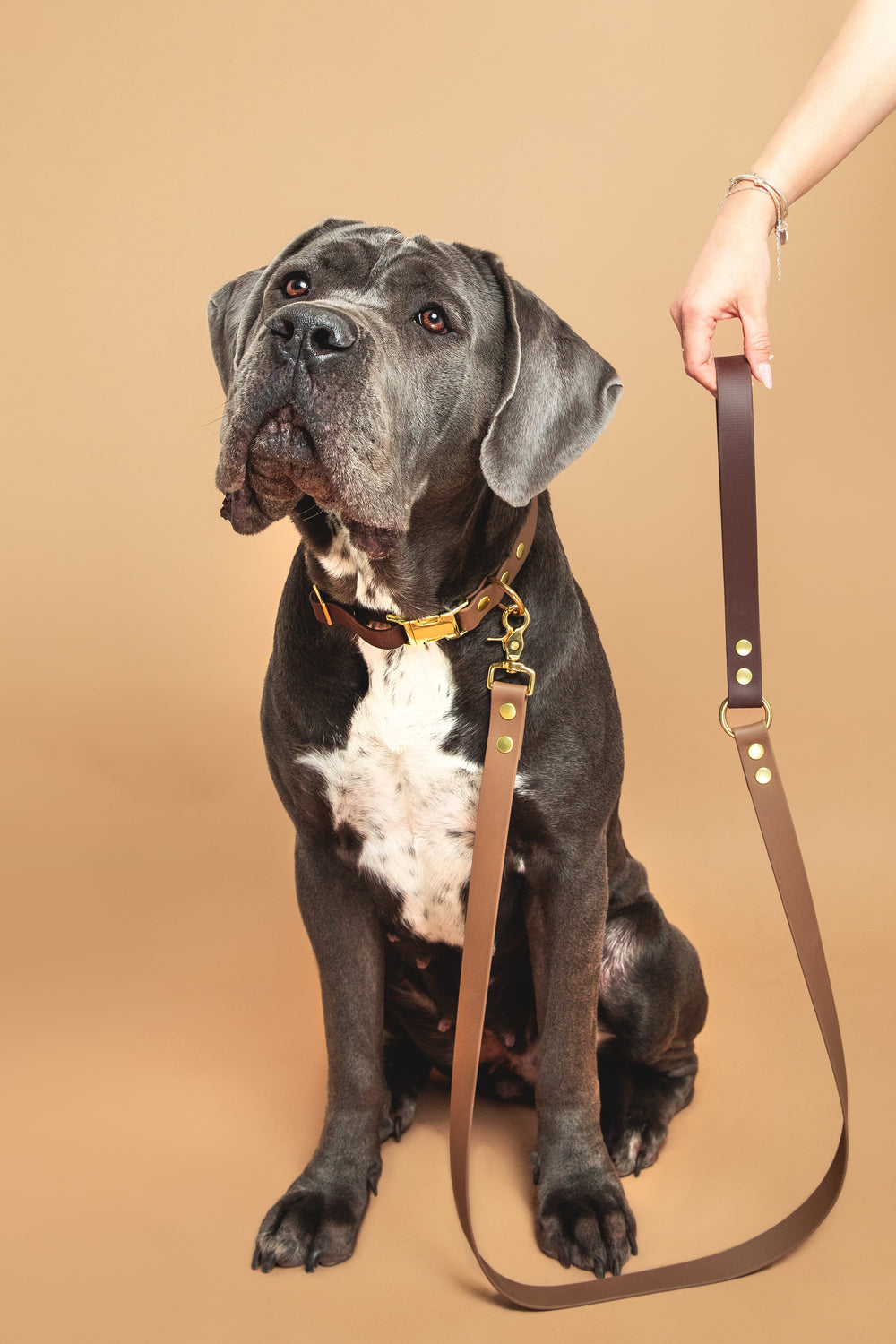 Biothane fixed leashes