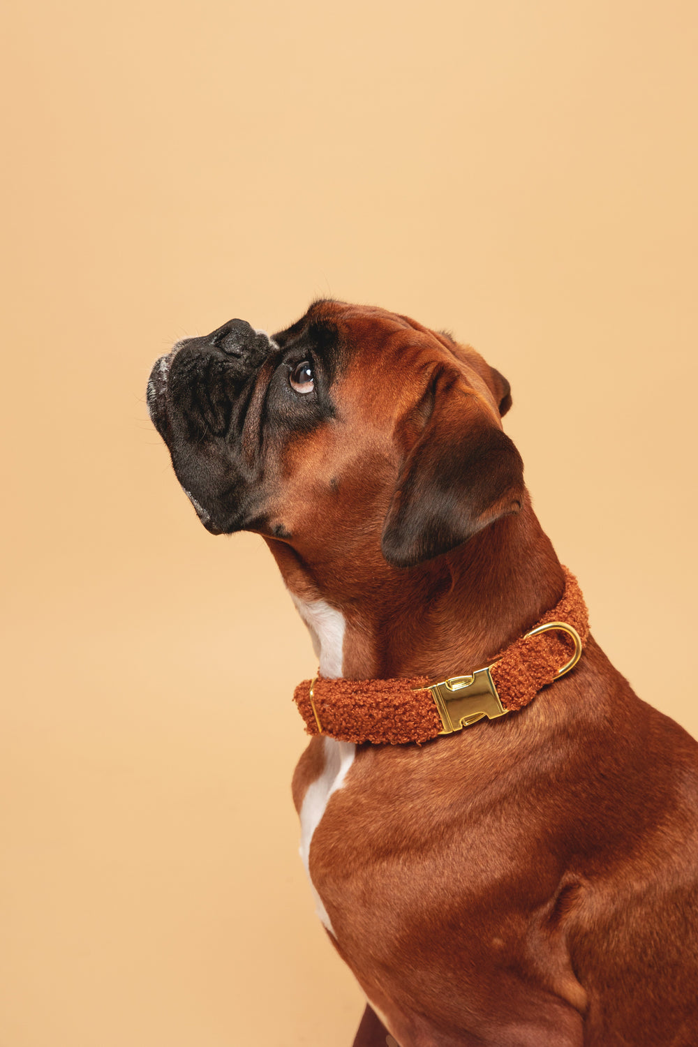 Soft fabric collars