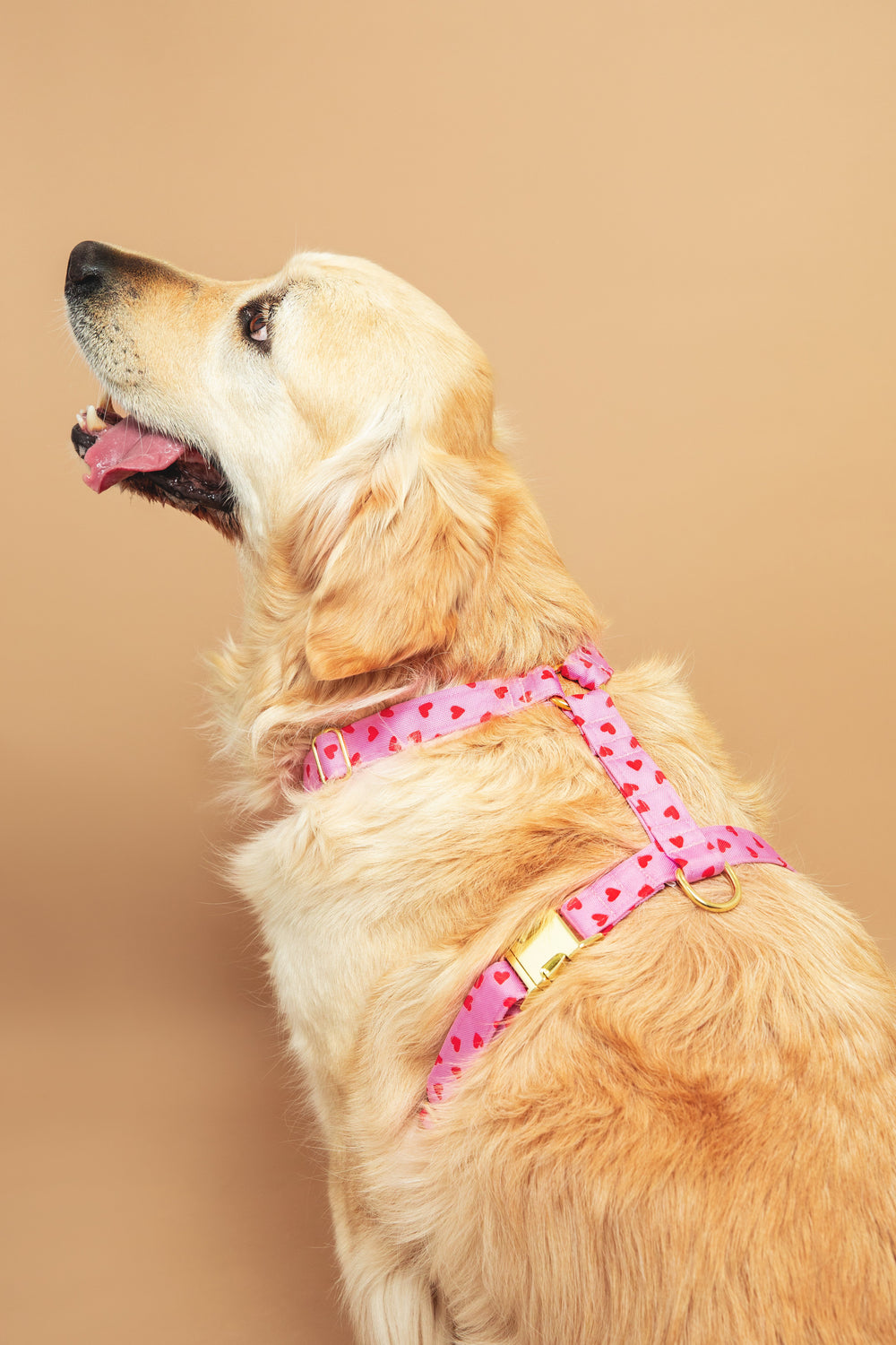 Waterproof fabric harnesses