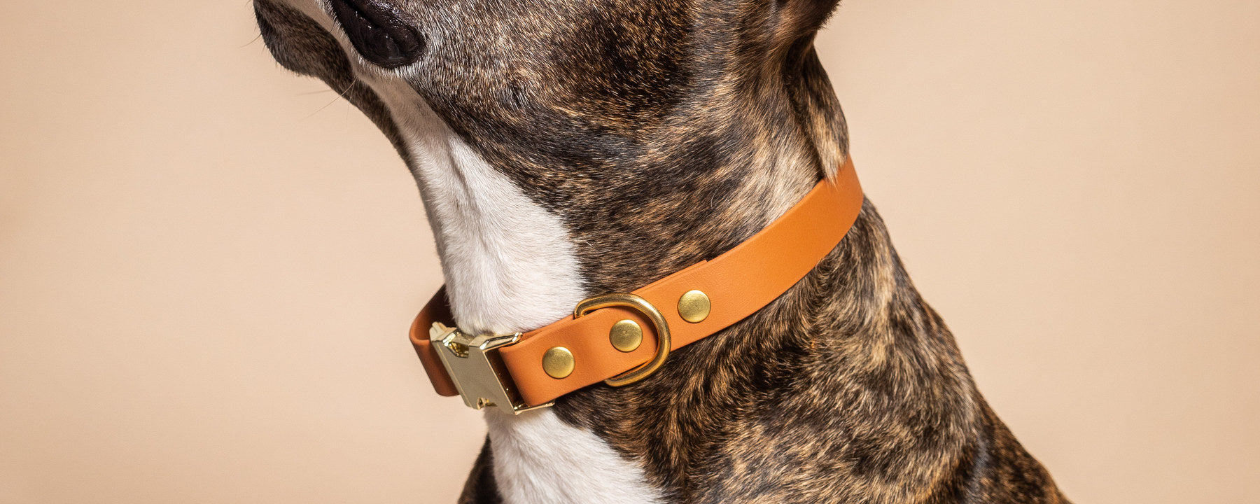 Collars