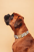 Load image into the gallery viewer, Smiley Collar - waterproof fabric
