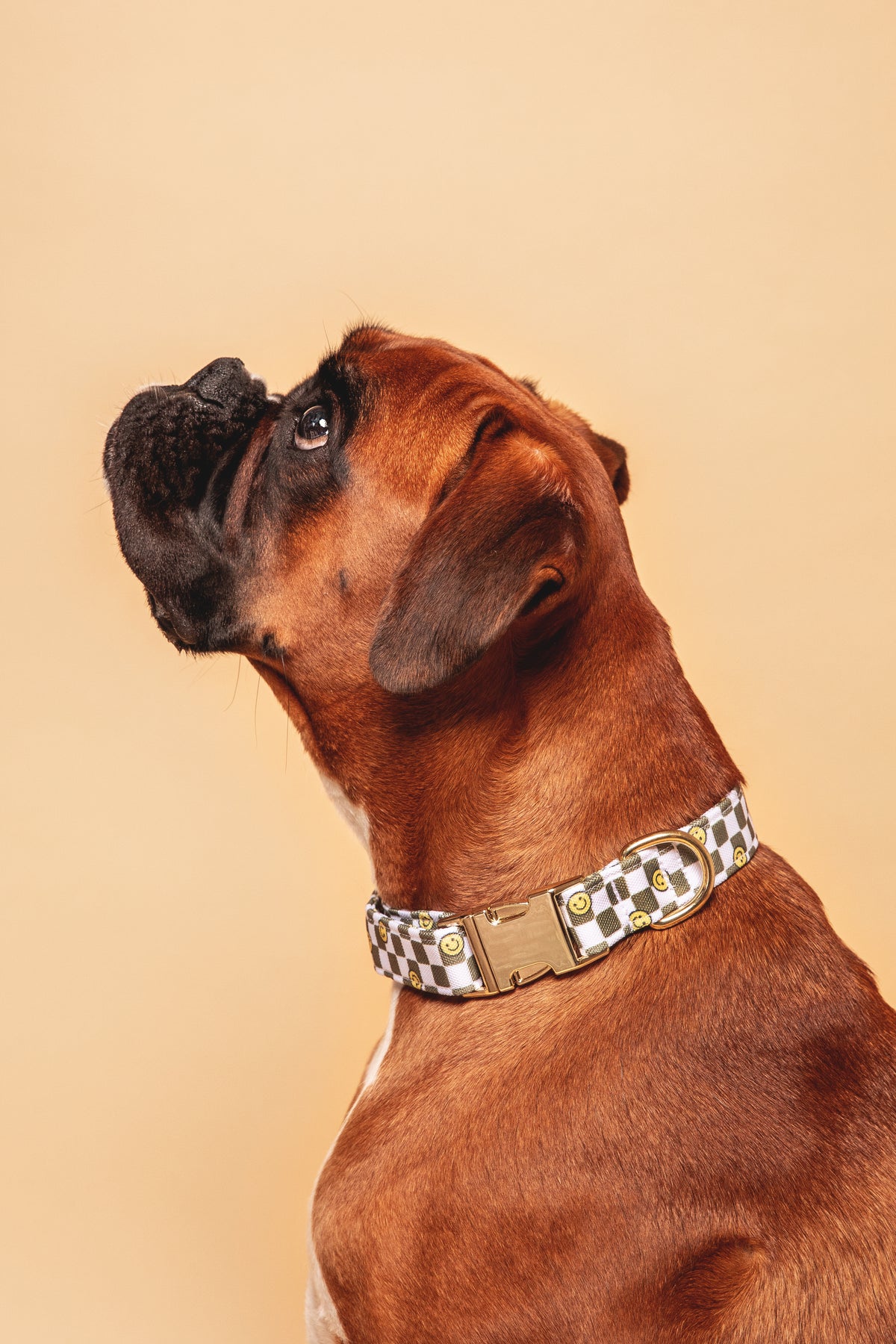 Smiley Collar - waterproof fabric