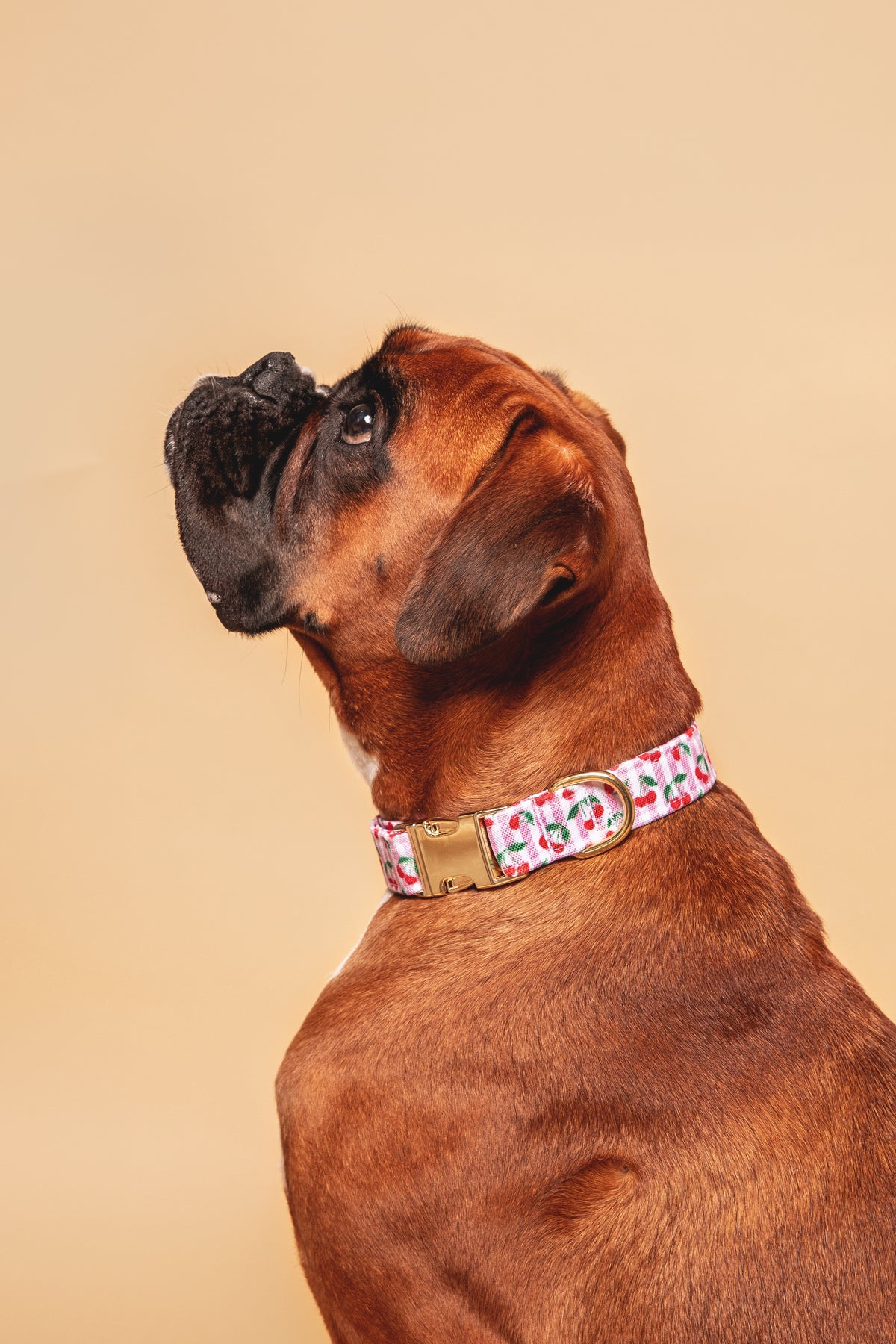 Collier Cerise - tissu imperméable