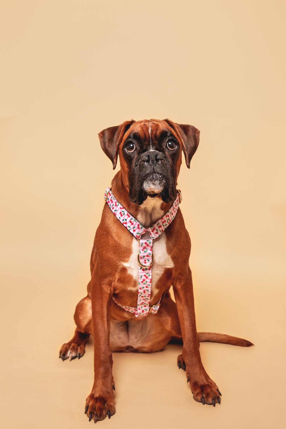 Cherry Harness - waterproof fabric