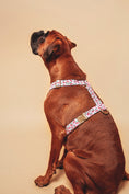 Load image into the gallery viewer, Cherry Harness - waterproof fabric
