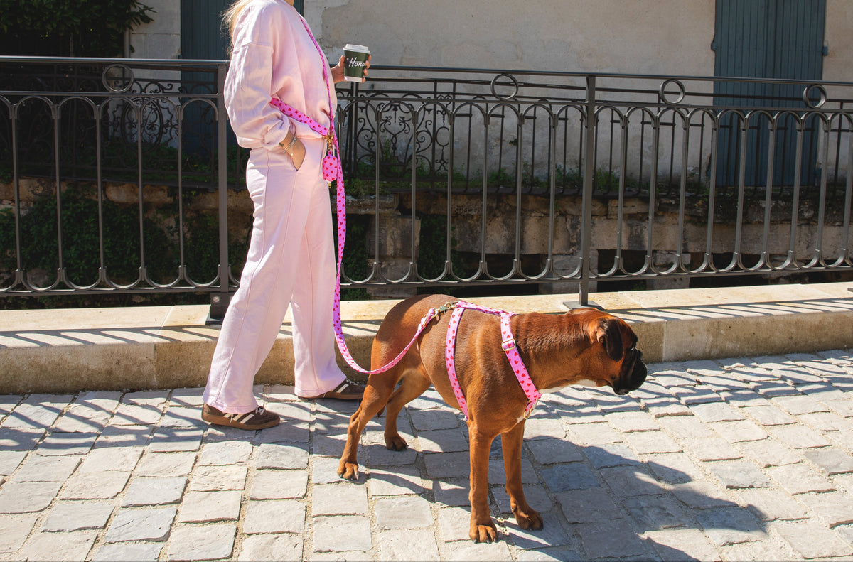 Laisse multi-positions Amore - tissu impérméable