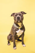 Load image into the gallery viewer, Smiley Collar - waterproof fabric
