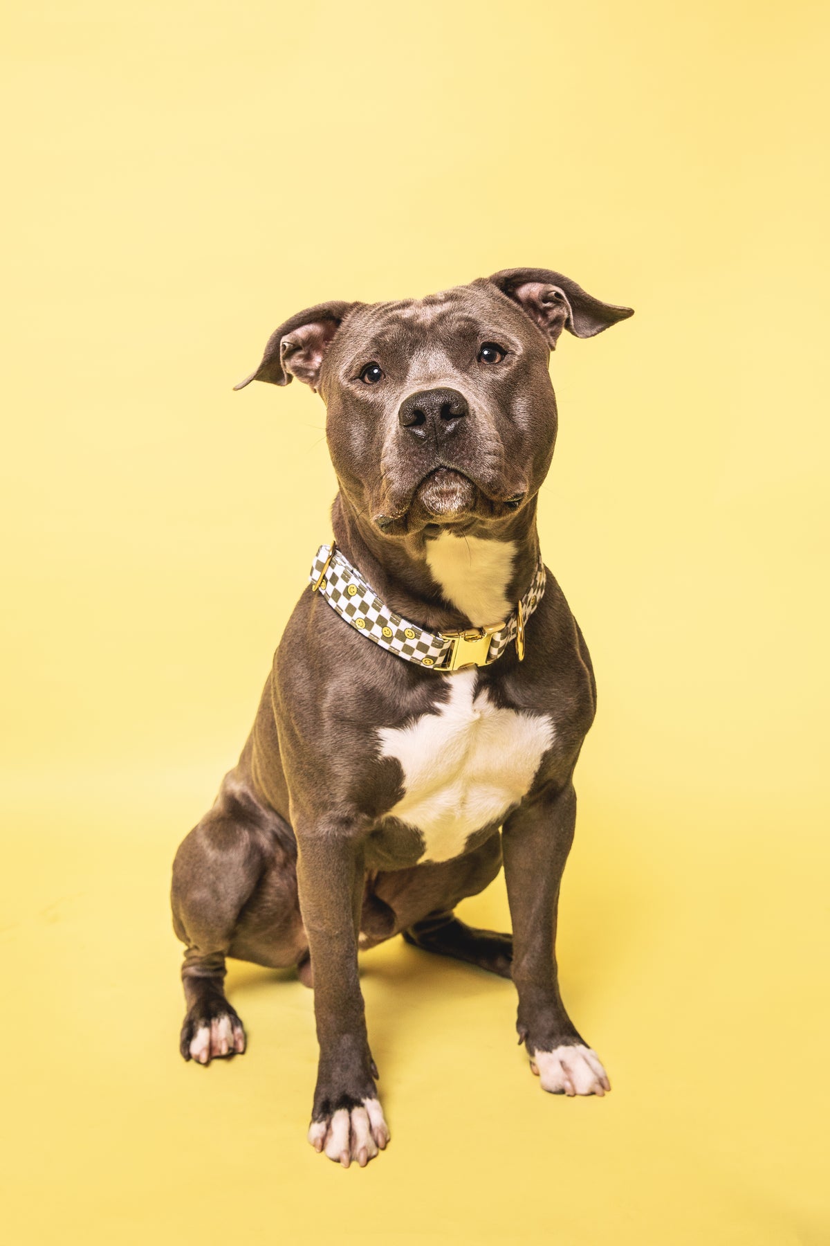 Smiley Collar - waterproof fabric
