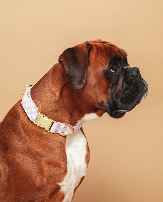 Collier Daisy - tissu imperméable