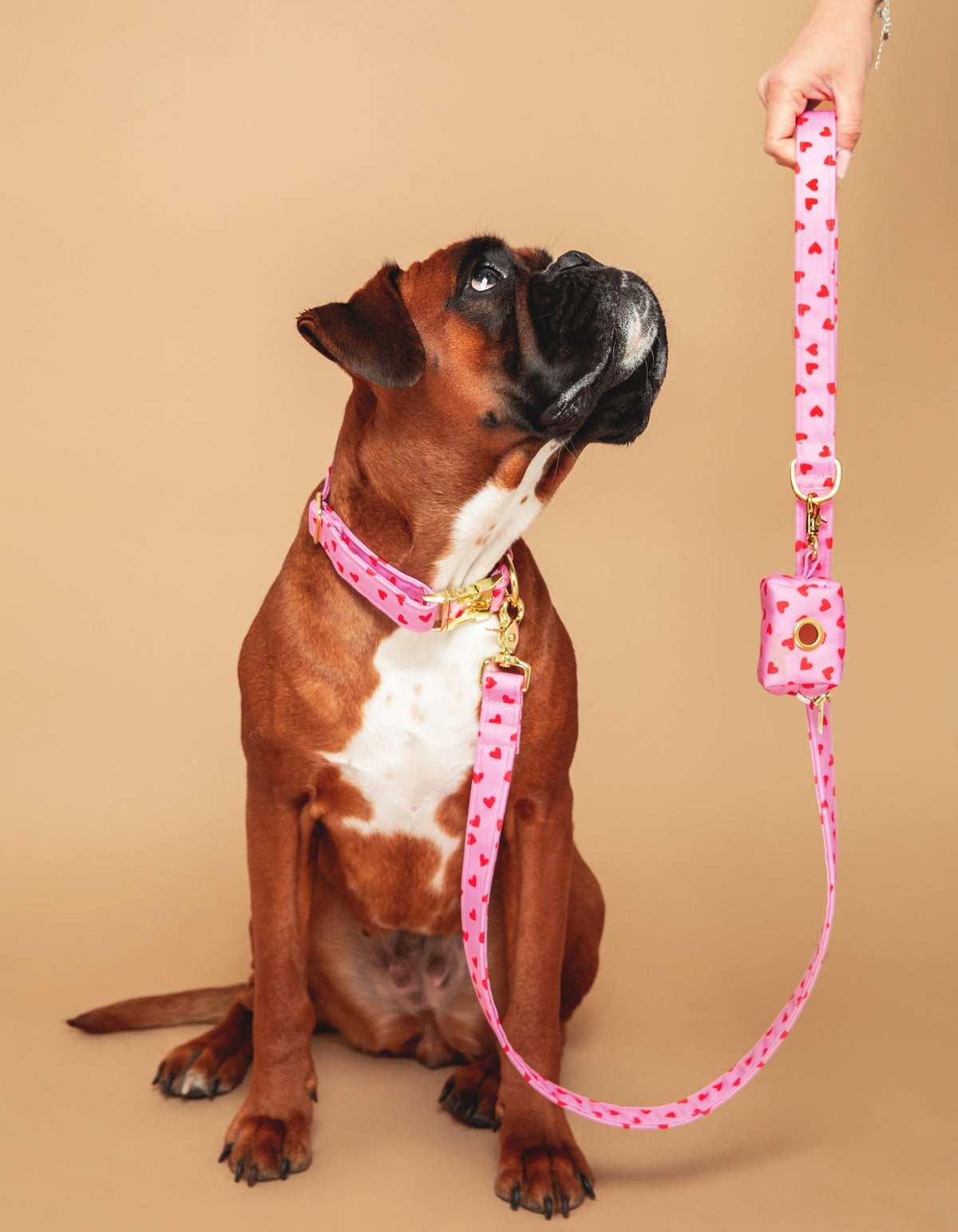 Collier Amore - tissu imperméable