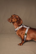 Load image into the gallery viewer, London Harness - waterproof fabric
