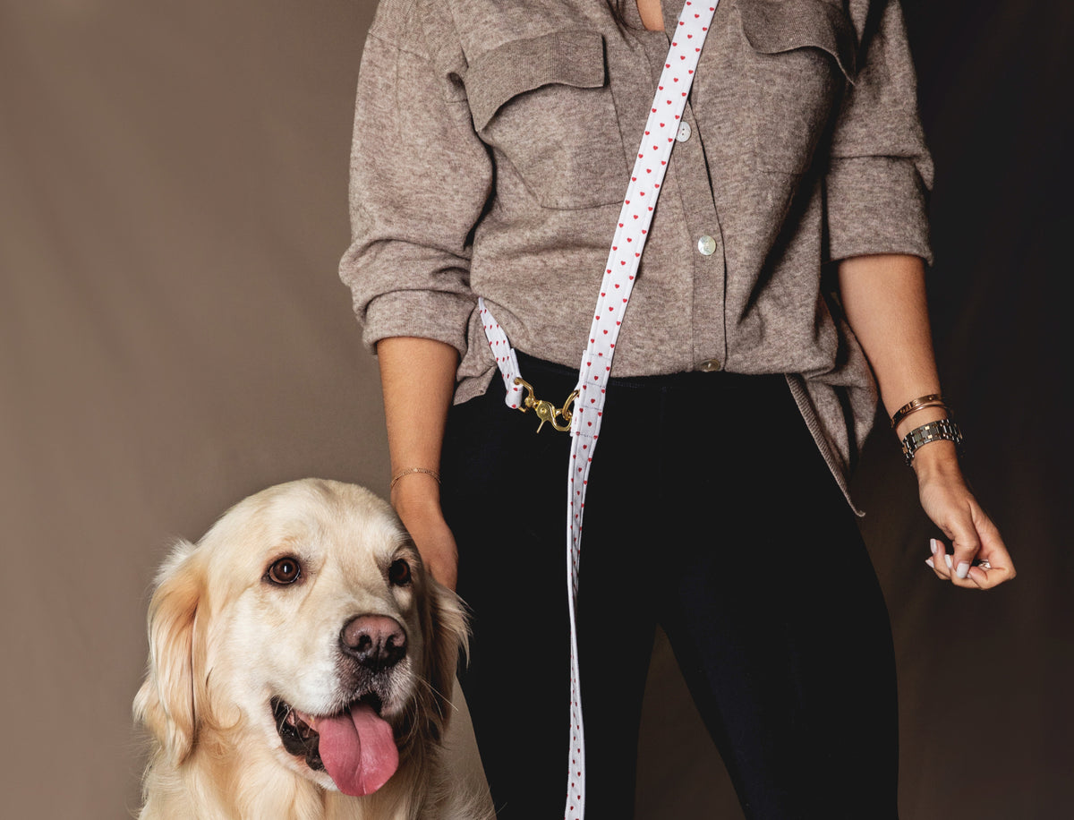 Laisse Multi-positions Pompon&Pets - tissu imperméable