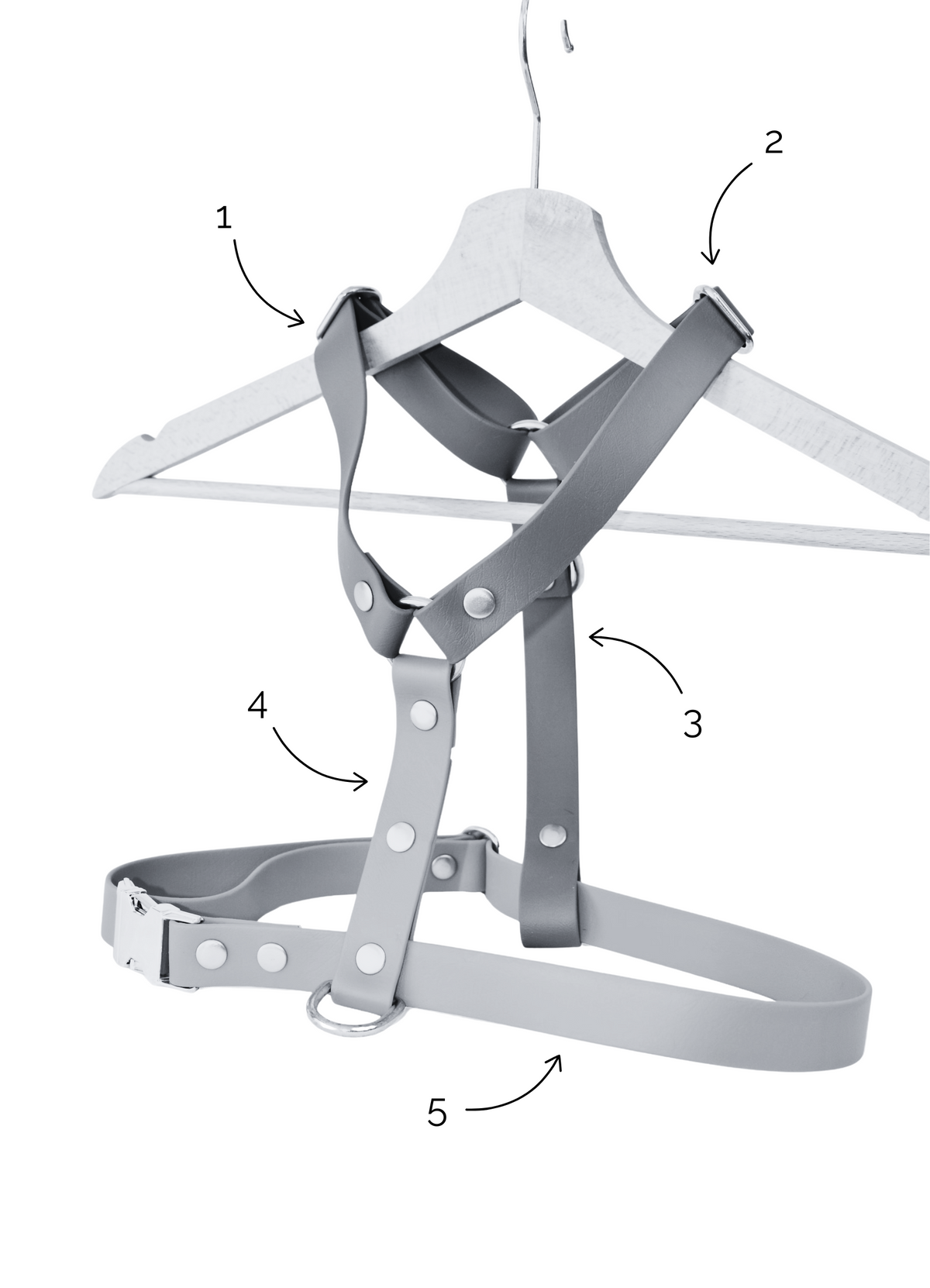 Personalised Harness - Biothane