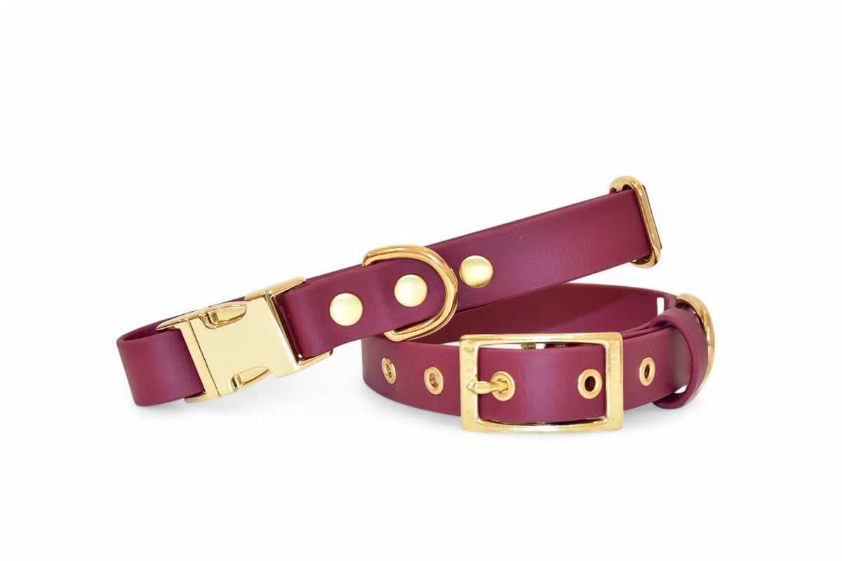 Collier Bordeaux - Biothane