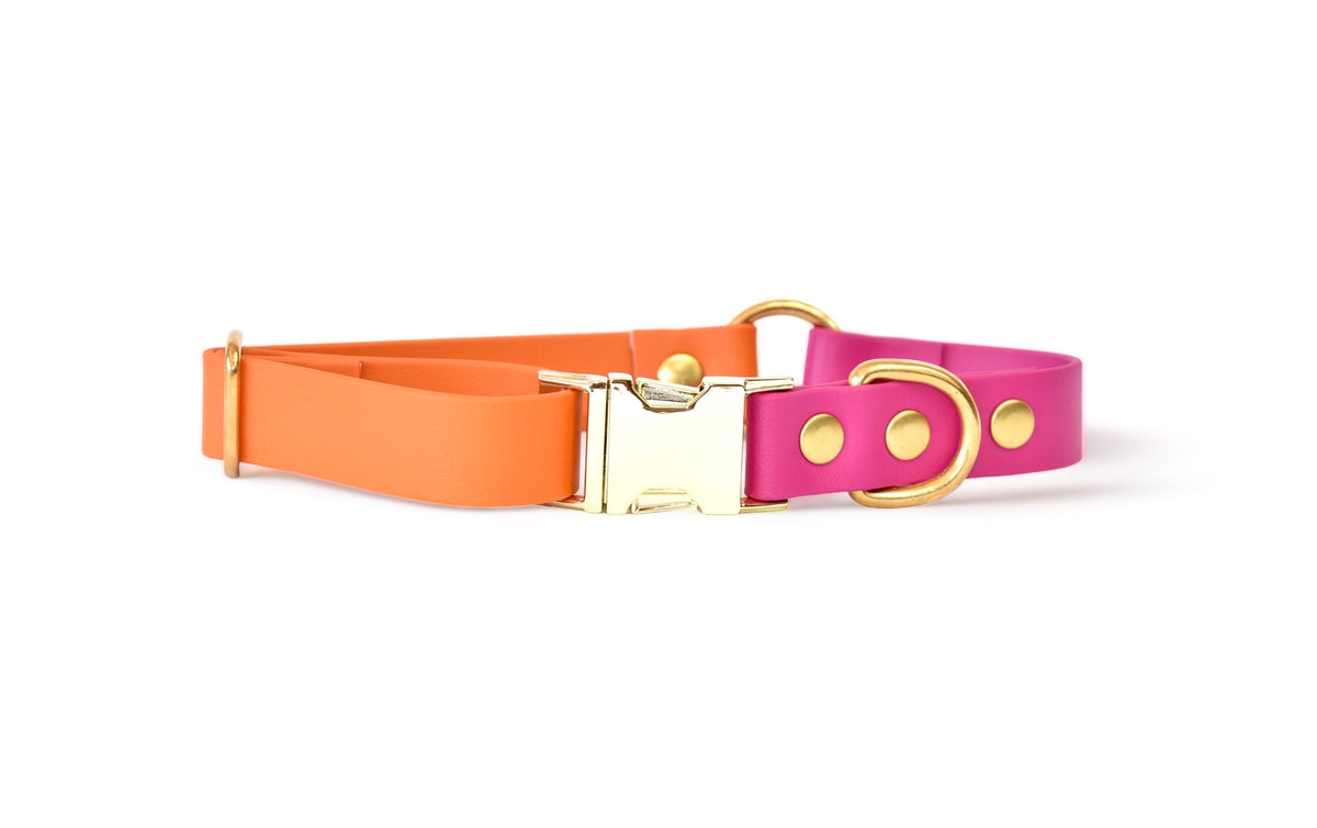 Collier Summer - Biothane