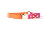 Collier Summer - Biothane