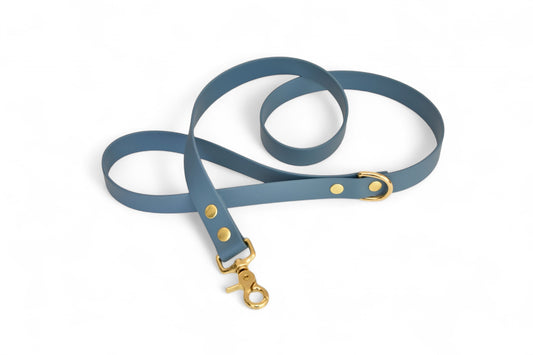 Teal Leash - Biothane
