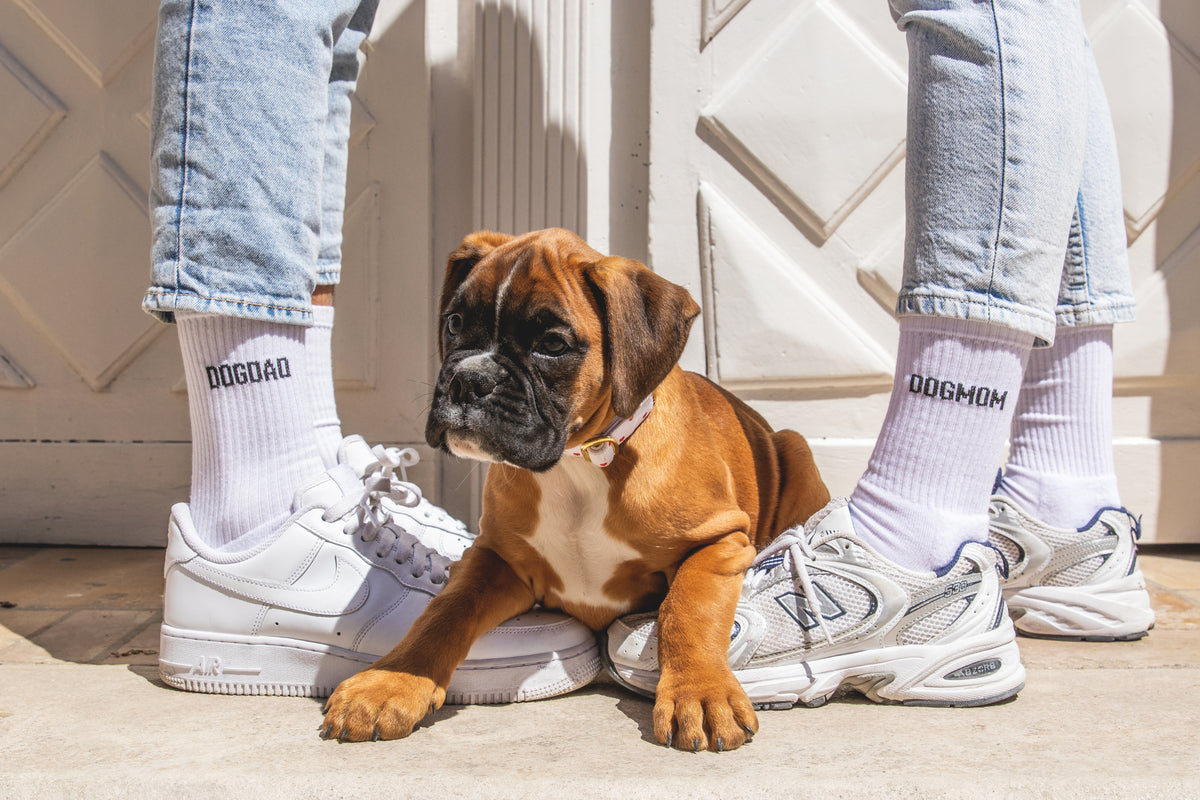 Dogmom Socks