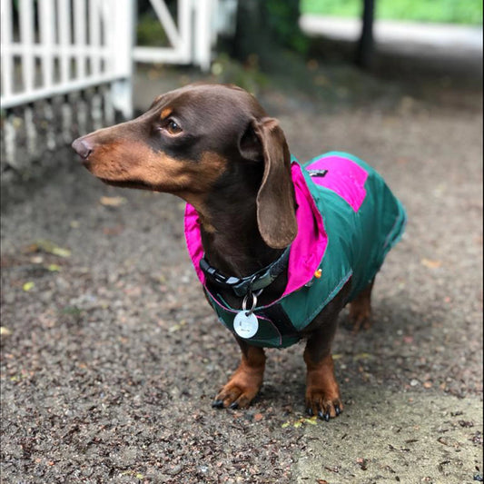 Imperméable Vert / Rose