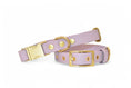 Load image into the gallery viewer, Lilac Collar - Biothane
