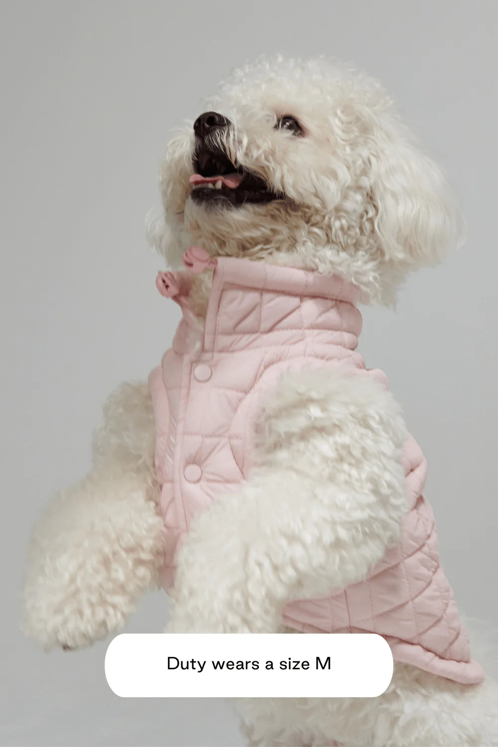 Pink Puffer Jacket