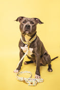 Load image into the gallery viewer, Lemon Leash - waterproof fabric
