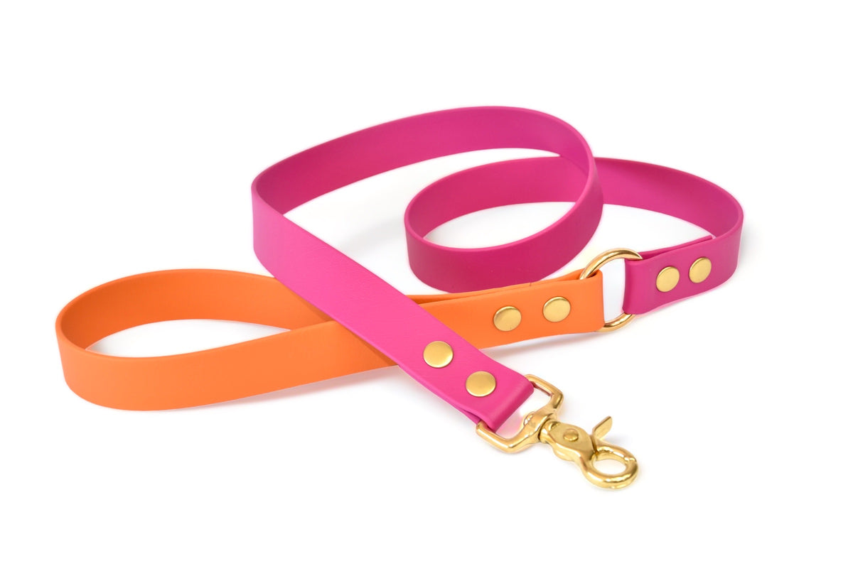 Summer Leash - Biothane