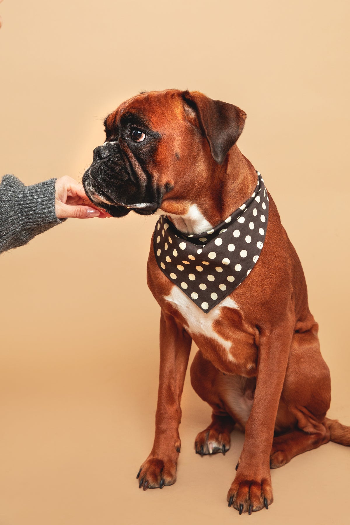 Bandana pois Marron