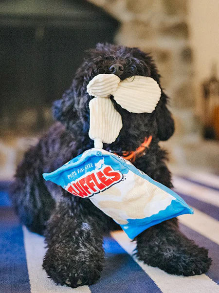 Paquet de chips