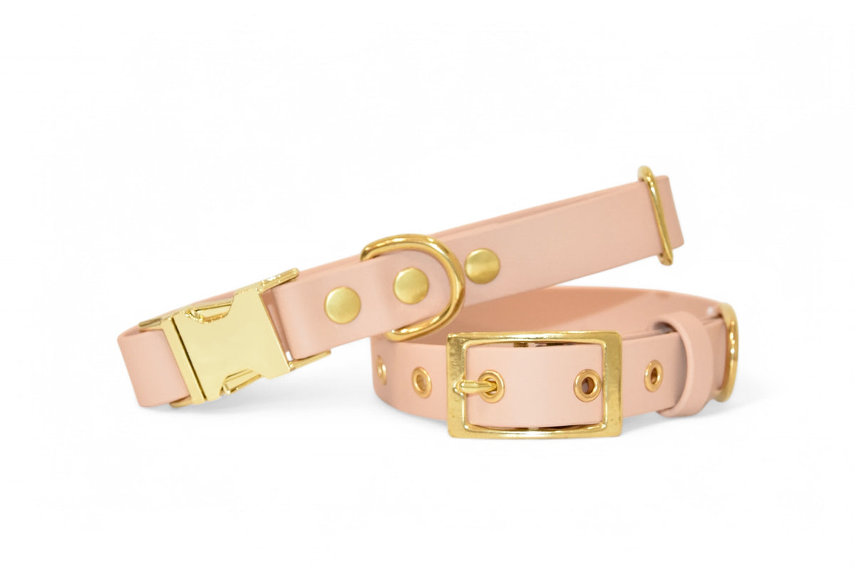 Collier Nude - Biothane